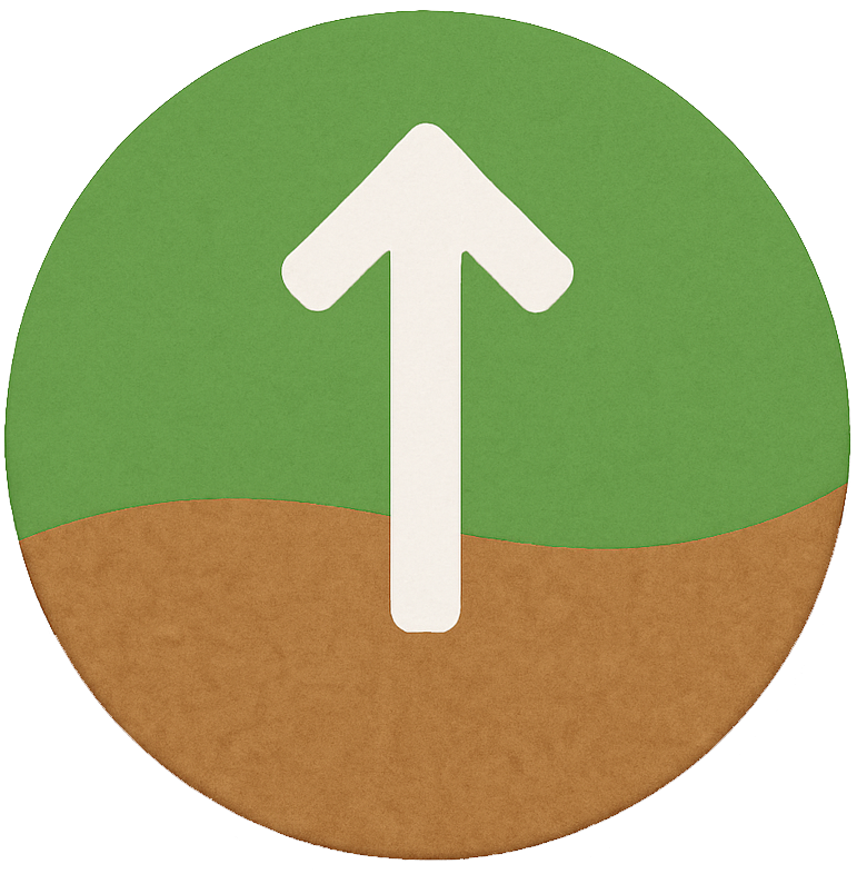 Scroll to Top